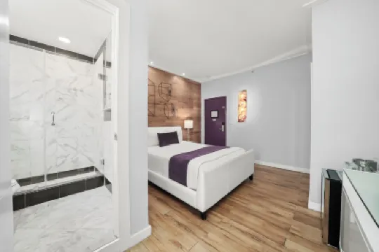 Shelley Hotel Hotels near Palm Island Park