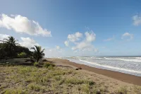 Turtle Beach Lodge - Beach