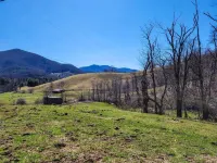 Serene Pine Tree Meadows Cottage w/ Stunning Views