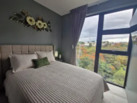 Luxury apartment in San Jose with A/C and Free Parking