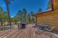 Hot Tub, Deck & Fireplace at Rustic Alto Cabin! - Wifi