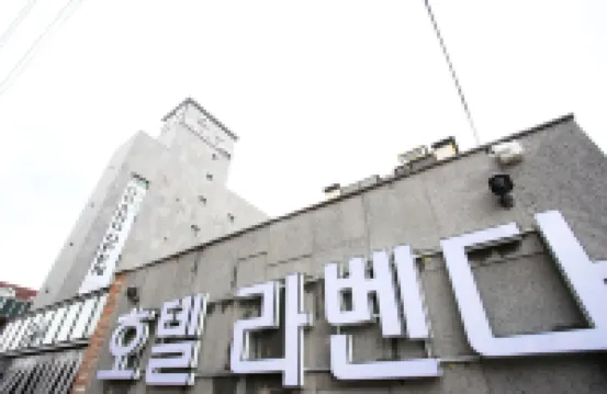 春川酒店薰衣草