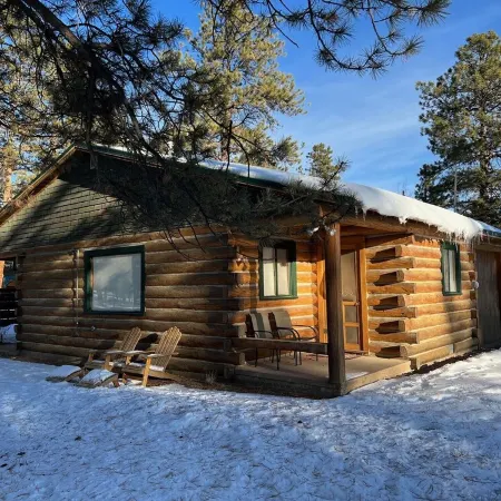 Spacious Family Friendly Cozy Cabin