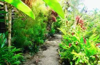 Welcome to our beach front eco-friendly home in Bocas De Toro!