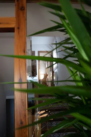 El Rincón de Majadas