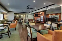 Hampton Inn Vernon Hotels in Wilbarger County
