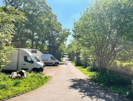 Secluded Sussex Studio with Private Forest Access