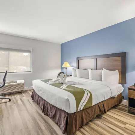 Quality Inn & Suites Tampa Near Fairgrounds and Casino