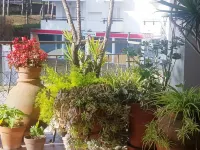 La Mejor Terraza de Tamariu