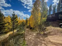 Aspen Glow Cabin - a charming 2-bedroom cabin with mountain views & wood stove Hotels in Bailey