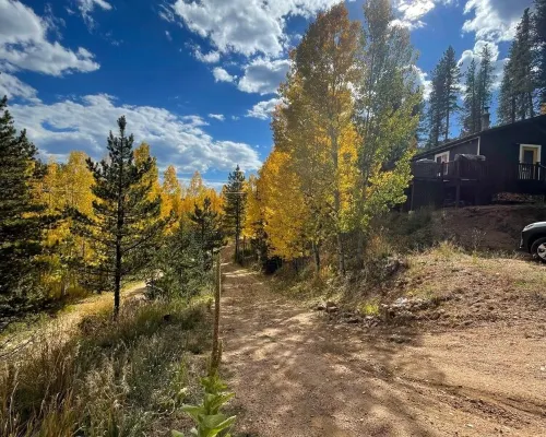 Aspen Glow Cabin - a charming 2-bedroom cabin with mountain views & wood stove Hotels in Bailey