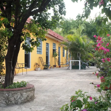 Casa Cuevas & Amaro