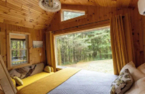 Remote Tiny Cabin & Hiking!