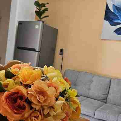 Apartment PB1 Others