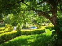 Casa T2 com Piscina Privada. Maior Concelho de Moínhos de Água da Europa Các khách sạn ở Albergaria-a-Velha