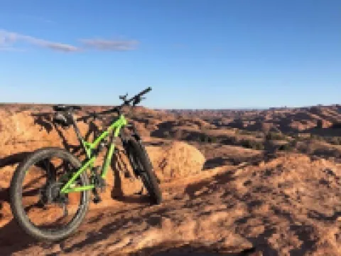 Walk to Downtown [] Game Room [] Private Fenced Yard