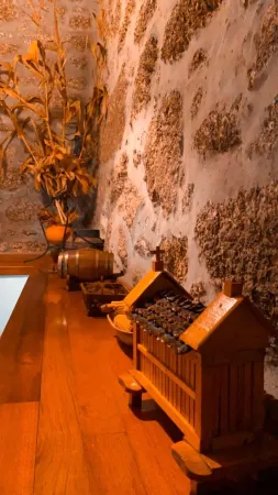 Rural Tourism House Cancela da Renda Отели в г. Виейра-ду-Минью