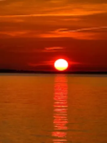 Steps to Sand • 3BR Coastal Gem