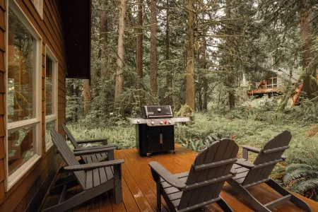 Family Cabin on Quiet Cul-de-Sac with Hot Tub and Cedar Sauna near Mt Baker