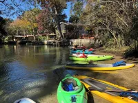 Epic Weeki Wachee Paddle House Included Paddleboards and Kayaks!