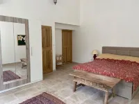 Ravissant Mas à Saignon Très Confortable, Piscine, Grand Parc, Animaux Acceptés 阿普特酒店