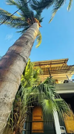 La Passerelle des Empereurs - 1min from the beach Отели в г. Альбьон