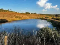 Ruhiges Traditionelles Portugiesisches Anwesen nur 10 min von Lagos und Strand