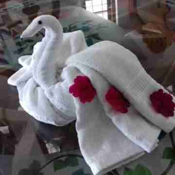 Linten Holiday Resort, Property set in Munnar.4.7km from MUNNAR Town Others