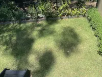 OCEAN SUNRISES-AVOCA  BEACH-Ocean & lake views, birdlife, 2 min drive to beach Hotels in Avoca Beach