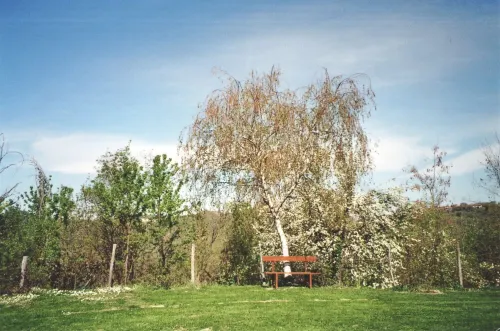 Isolated on hill, flat with terrace among romanesque art,quiet,nature. Hotels in Cocconato