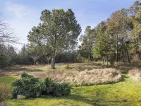 "Feli" - 180m from the sea