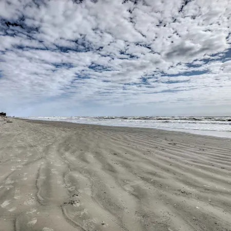 Steps to Galveston Beach: Dog-Friendly Gem w/ Yard