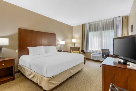 Comfort Inn & Suites East Moline Near I-80 Отели в г. Карбон Клифф