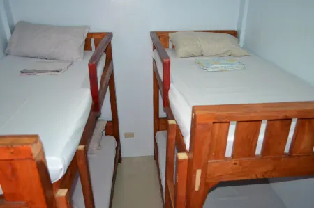 NiteLife Transient House