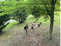 The Peaceful Pine Cabin