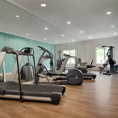 Holiday Inn Express & Suites DALLAS NE - ALLEN by IHG
