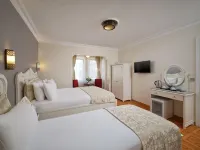 1207 Hotel Special Class Sultanahmet ブルー・モスク周辺のホテル