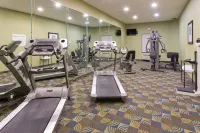 Holiday Inn Express & Suites ALVARADO by IHG - Træningscentre