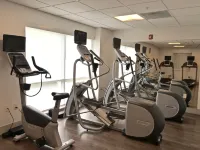 Holiday Inn Express & Suites OSWEGO by IHG - Gym