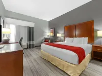 Comfort Inn Kearney I-80 Hotels in Kearney