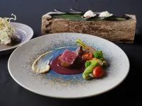 Satoyama Hotel Kanenone Tamba Hotels in Tamba