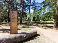 Modern Braddon Studio with Parking