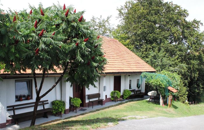 Vineyard cottage Ranč pri Hanzeku