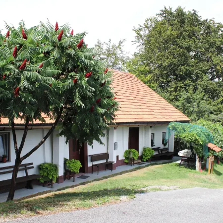 Vineyard cottage Ranč pri Hanzeku Hotels in Ptuj