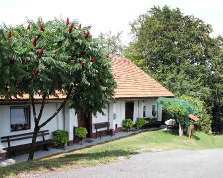 Vineyard cottage Ranč pri Hanzeku Hotels in Ptuj