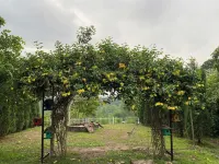 MI HOUSE (NGHIA LO - YEN BAI) Văn Chấn District otelleri