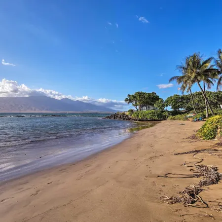 Kihei Condo Steps to Kalepolepo Beach Park!