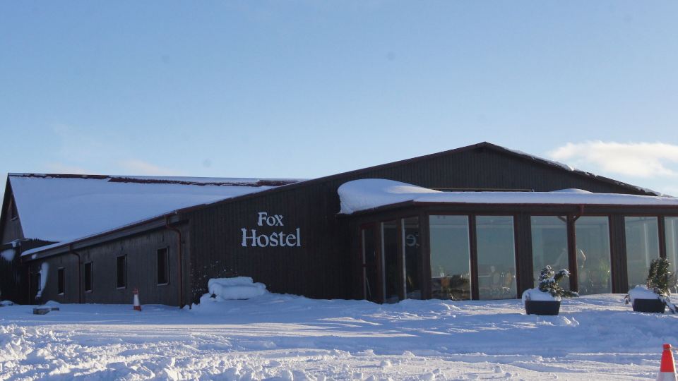 The Fox Hostel