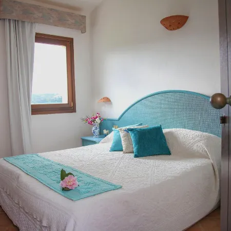 Hotel Micalosu Отели в г. Арцакена