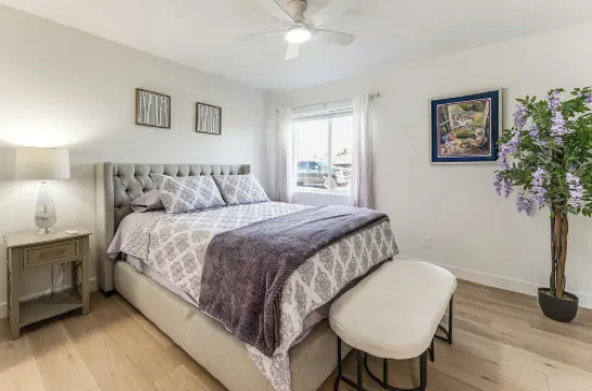 Shop, Swim & Explore: Updated Phoenix Home!